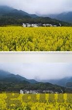 德州扑克d位-德州扑克D位，策略与心理博弈的巅峰